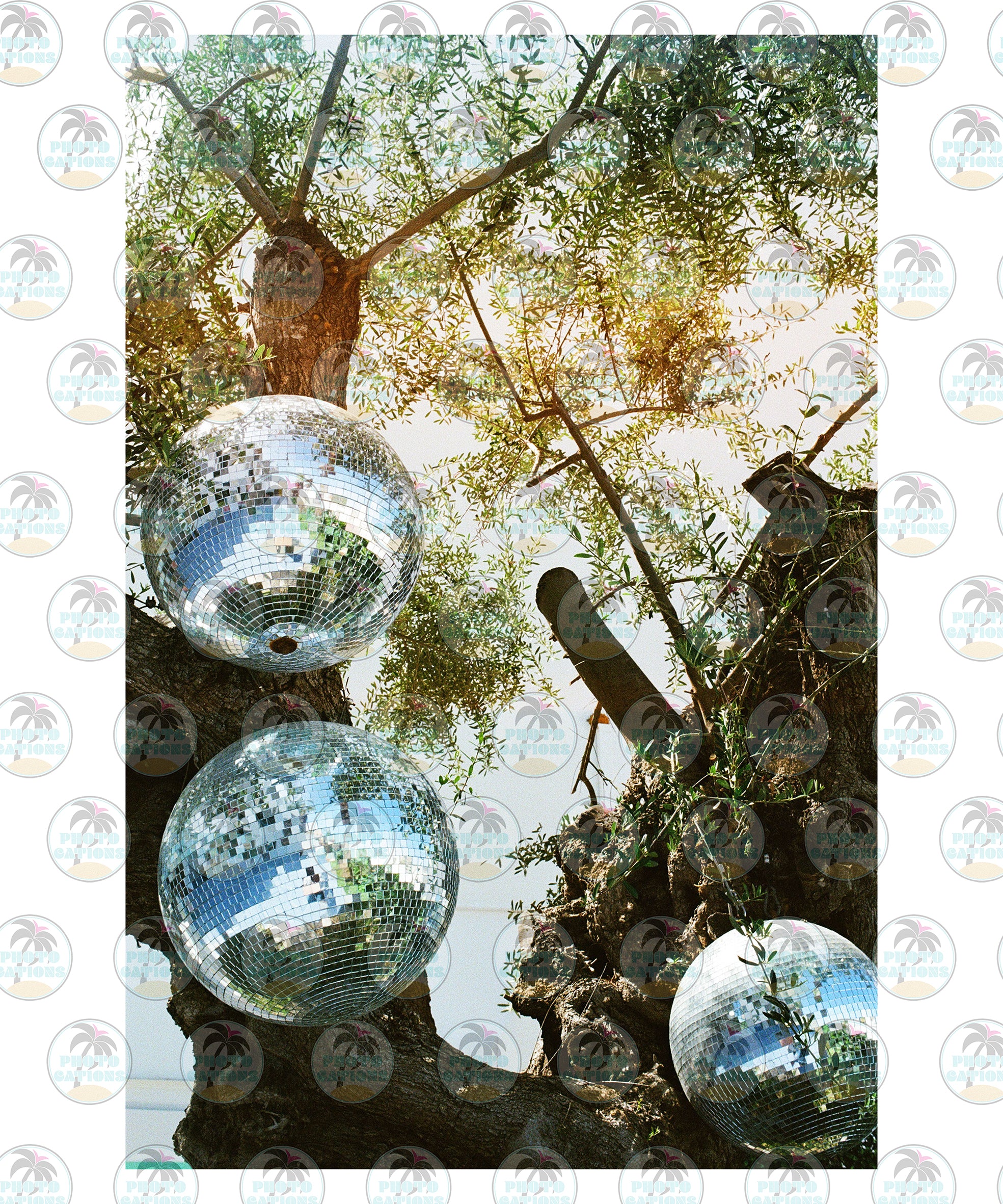 Ibiza Disco Dreams