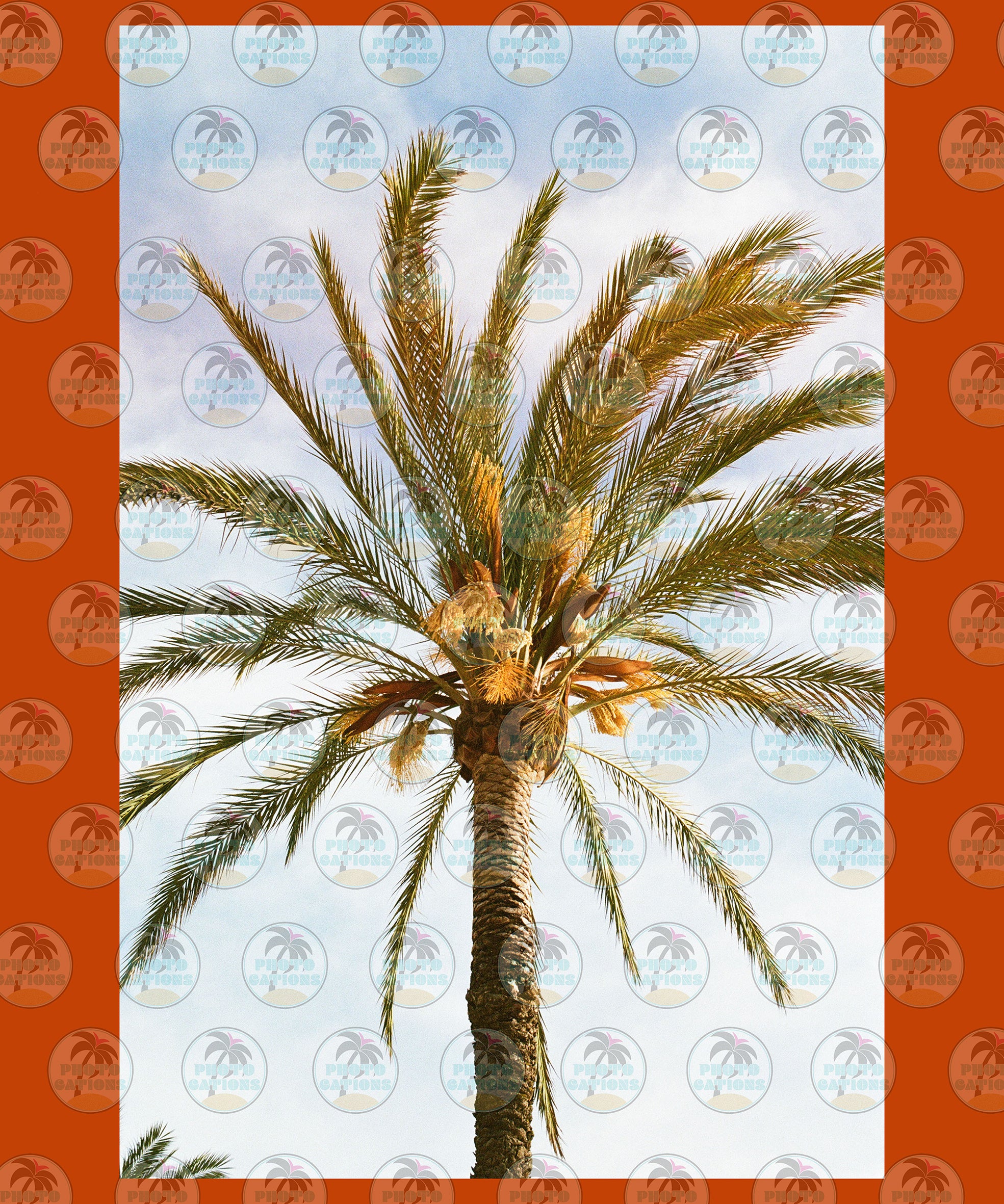 Vintage Summer Palm Trees