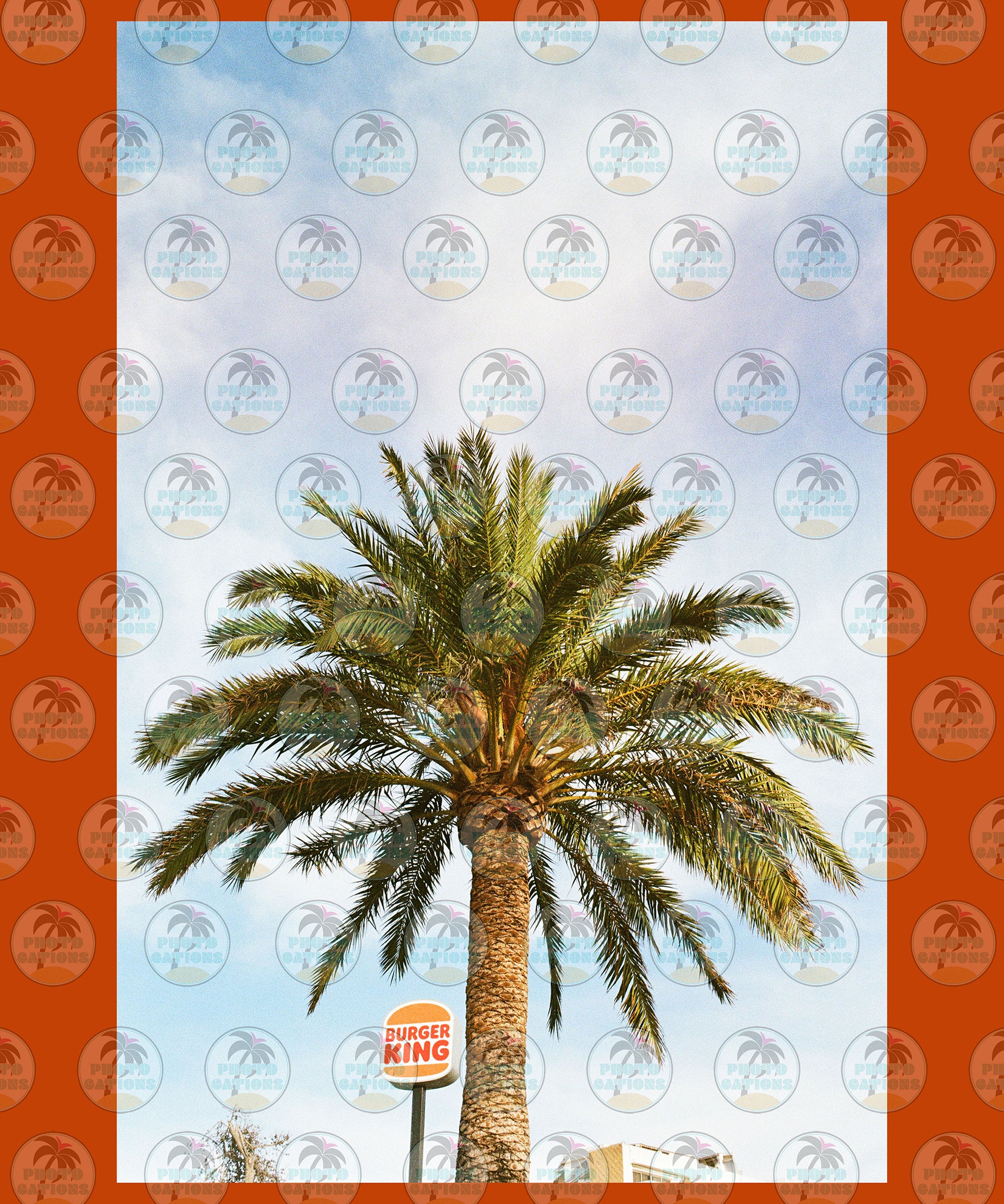Vintage Summer Palm Trees