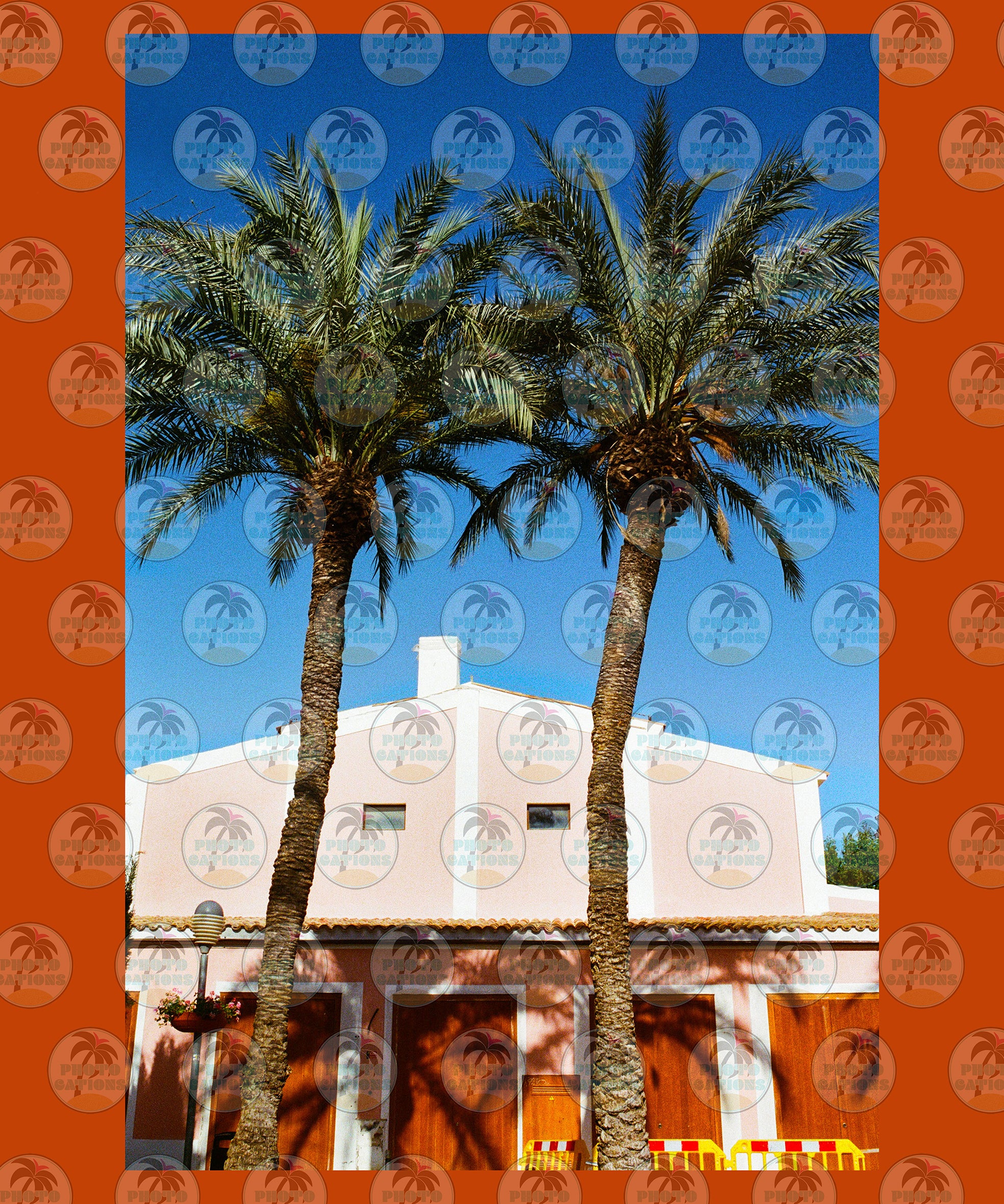 Vintage Summer Palm Trees