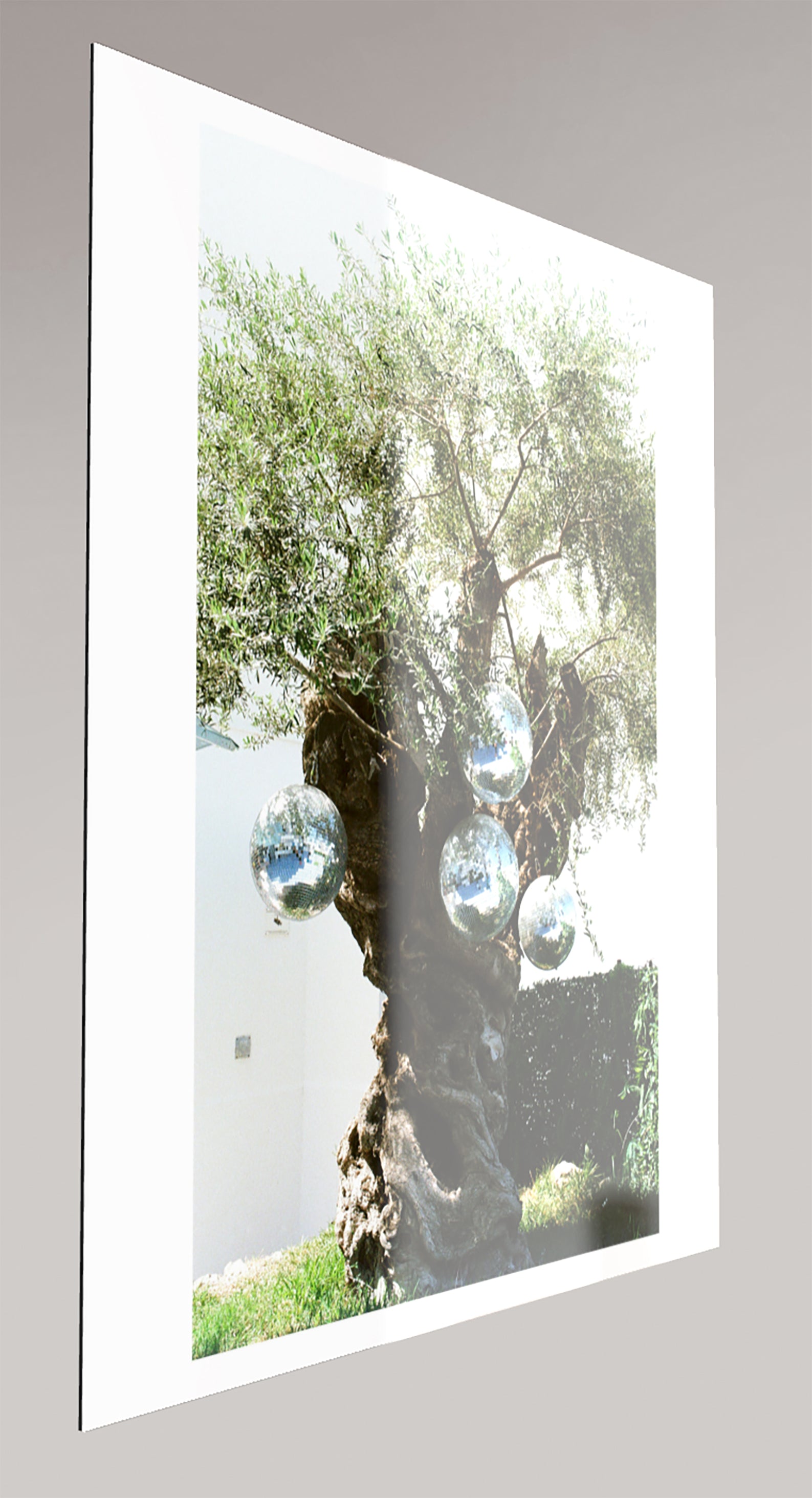 Ibiza Disco Dreams