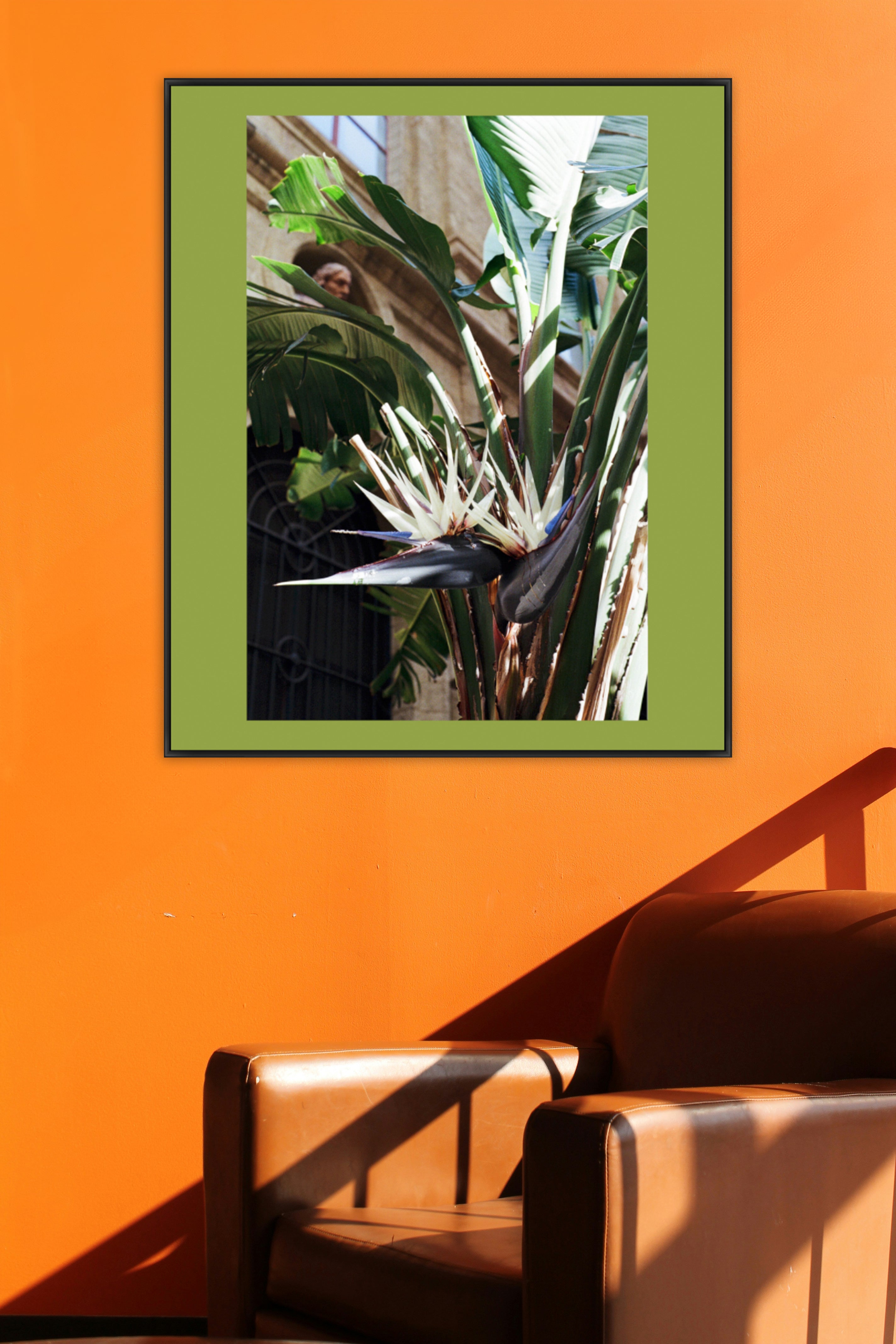 Naples' Flora