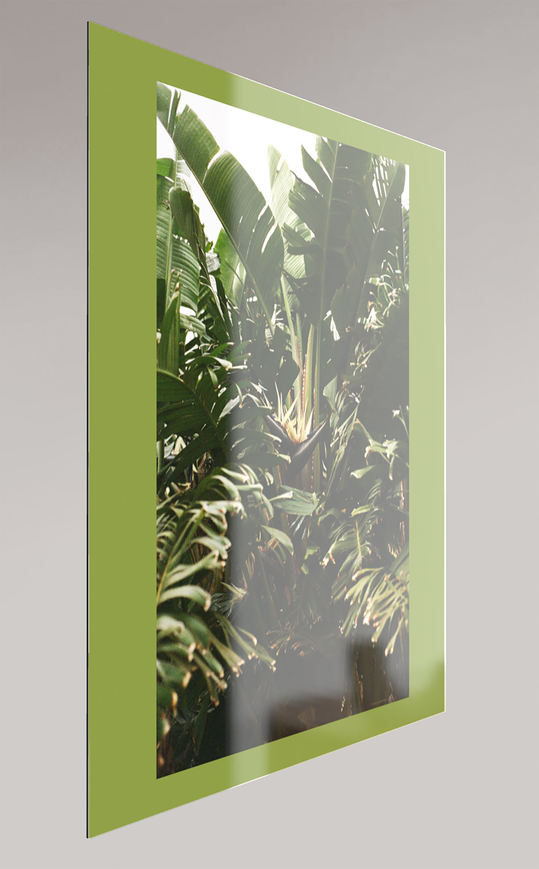 Naples' Flora