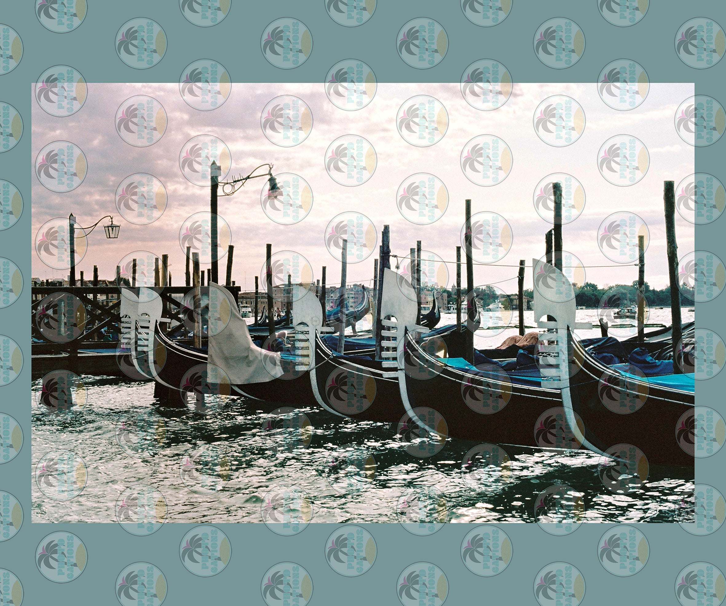 Venice's views